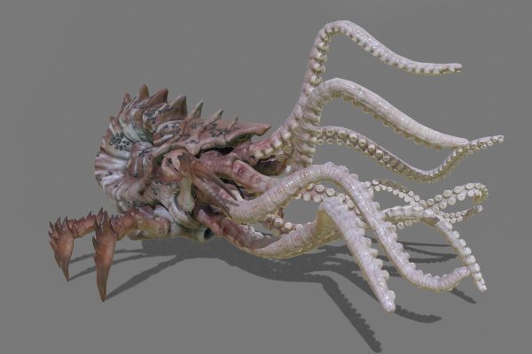 Kit kraken официальный сайт