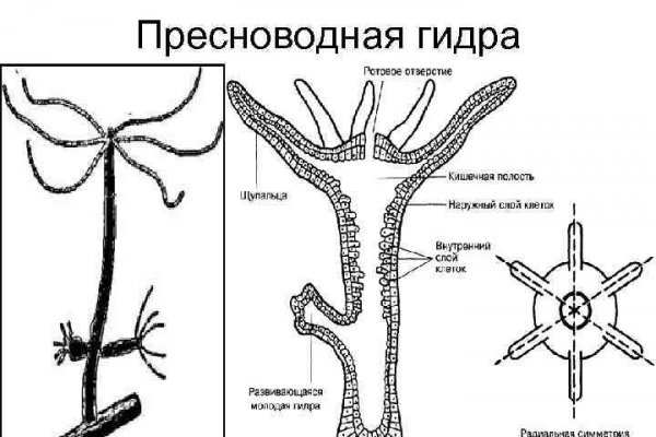 Сайт кракена в торе